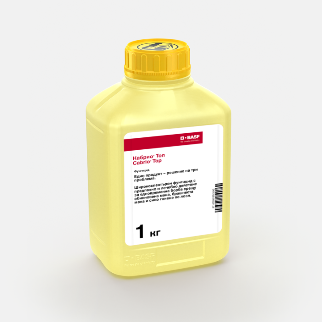 Cabrio Top basf