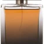 Dolce & Gabbana The One парфюм за мъже EDP