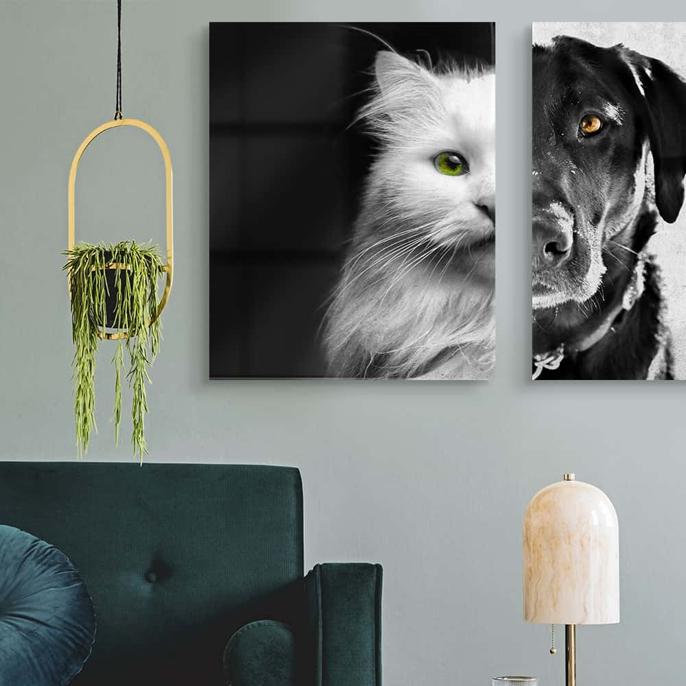 Комплект стъклени арт пана Котка и Куче