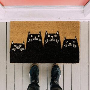 Изтривалка за Врата – Котки