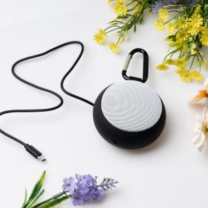 Bluetooth колонка Darwin Speaker