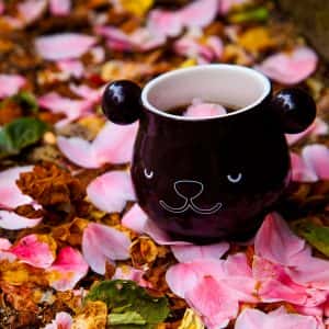 Магическа Чаша за Кафе и Чай – Панда (430мл.)