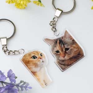 Комплект акрилни ключодържатели – Мяу моменти